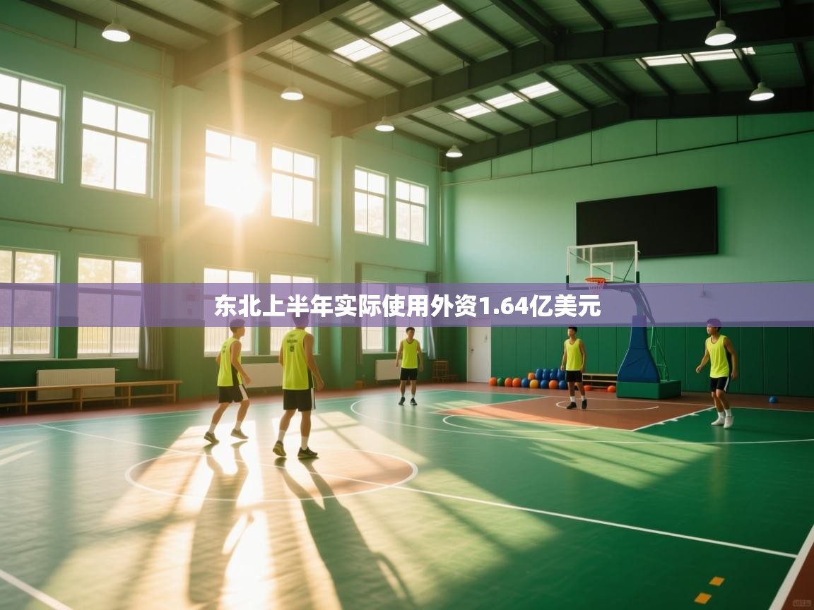 东北上半年实际使用外资1.64亿美元