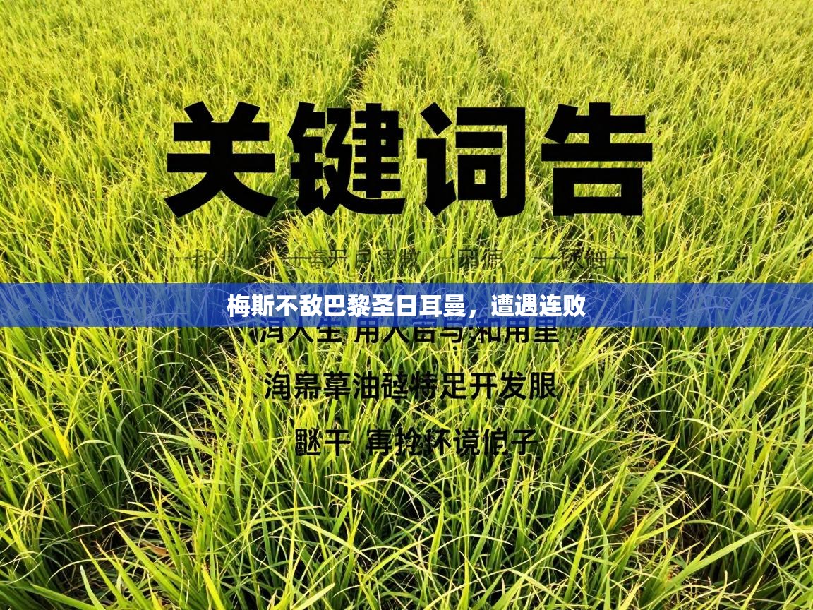 梅斯不敌巴黎圣日耳曼,遭遇连败 第2张