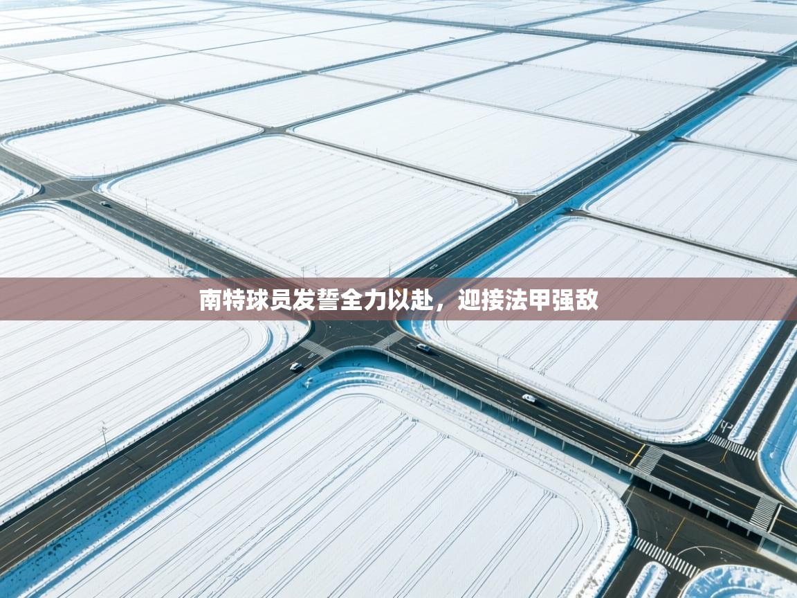 南特球员发誓全力以赴，迎接法甲强敌